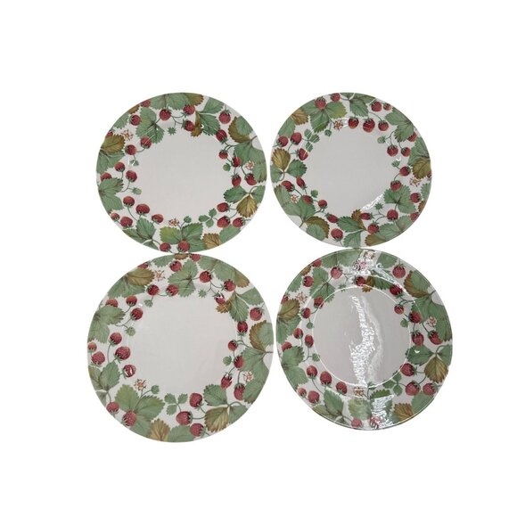 Royal Stafford Fine Earthenware Dinner  Plates Set Of 4 Wildberry Design 11” - Picture 1 of 6